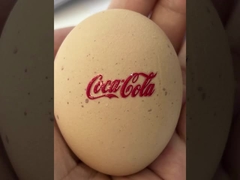 Принтер MM цифров ширины 620 УЛЬТРАФИОЛЕТОВОГО принтера MM DTF высоты 1062 максимальный струйный